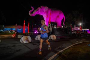 BIB: 
                            <button type="button" onclick="openModal(26552100)" class="btn btn-primary btn-sm float-right btn-popup" data-toggle="modal" data-target=".modal-high-quality">
                        <i class="fas fa-shopping-cart"></i> Add to Cart
                    </button>
                                            <button type="button" onclick="isThisMe(26552100, true)" class="btn btn-success btn-sm float-right btn-popup btn-isme hidden" data-toggle="tooltip" data-placement="bottom" title="นี่คือรูปของคุณใช่ไหม คลิกที่นี่เพื่อเอาเข้าอัลบั้ม">
                        <i class="fas fa-plus"></i> Add to album
                    </button>
                    <button type="button" onclick="isThisMe(26552100, false)" class="btn btn-warning btn-sm float-right btn-popup btn-isnotme hidden">
                        <i class="fas fa-ban"></i> Remove from album
                    </button>